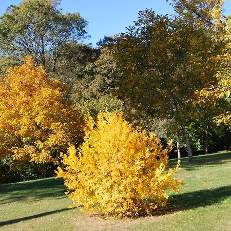 Cleyrac Domaine La Bastide B&B 외부 사진
